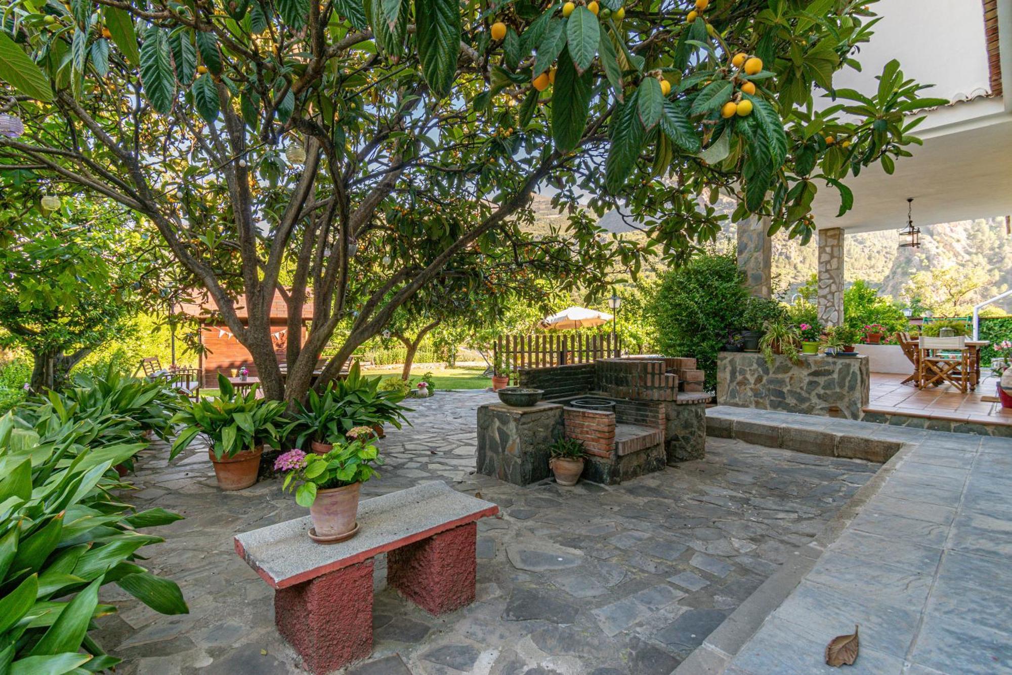 גואחר-סיירה Casa Rural Olivillas Garden-Sierra Nevada מראה חיצוני תמונה