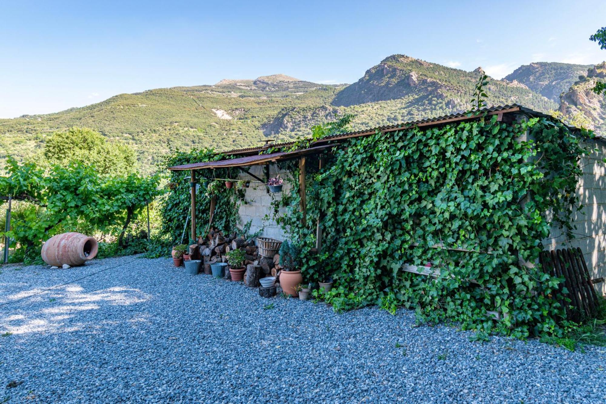 גואחר-סיירה Casa Rural Olivillas Garden-Sierra Nevada מראה חיצוני תמונה
